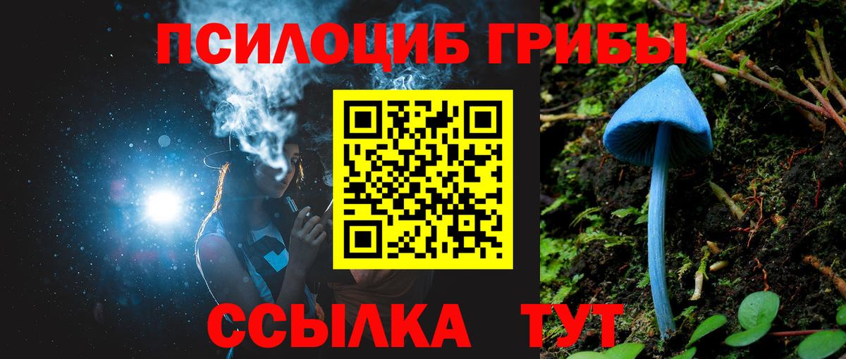 Псилоцибиновые грибы MAGIC MUSHROOMS  Псилоцибиновые грибы Cubensis  Кизилюрт  Вход с VPN 