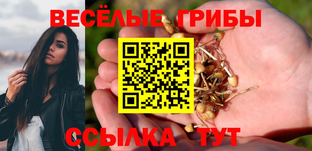 Псилоцибиновые грибы прущие грибы Кизилюрт